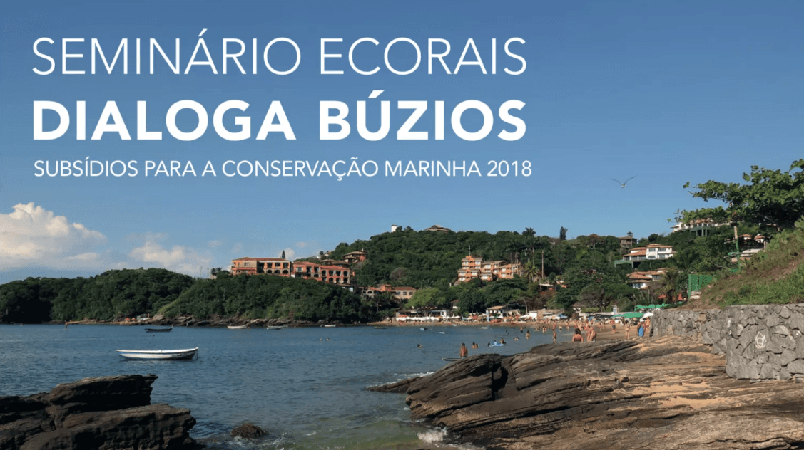 Búzios recebe seminário sobre conservação marinha