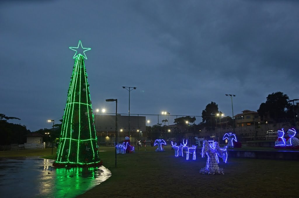 Búzios tem decoração de Natal com árvore de 12 metros