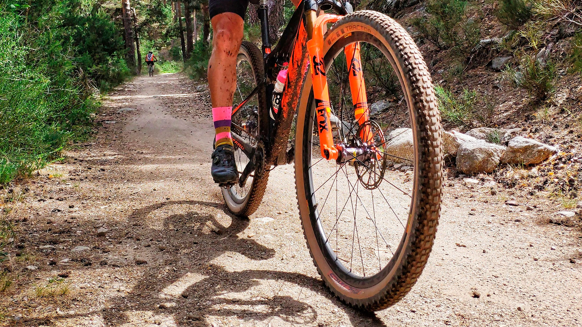 MTB_B