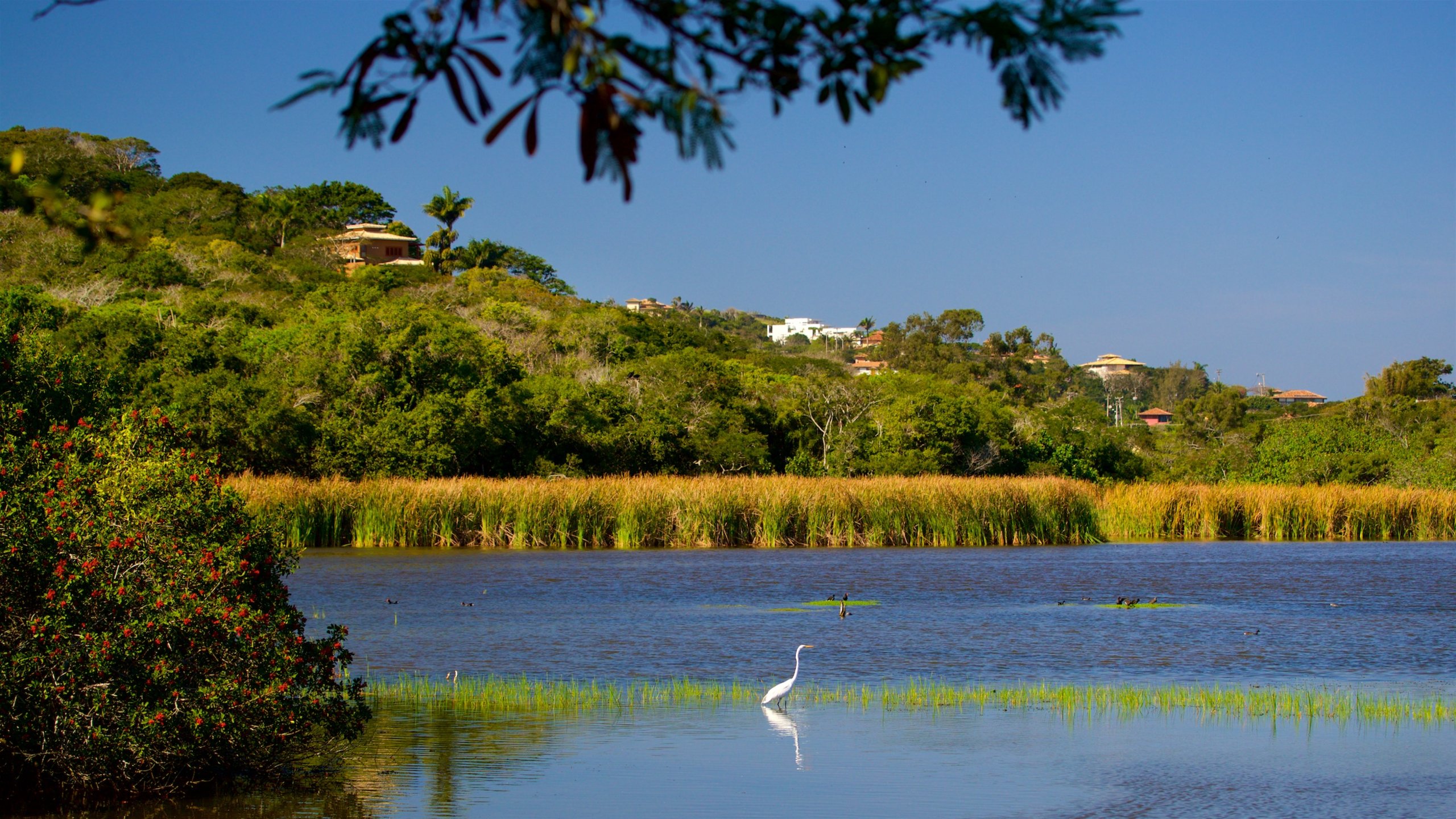 265025-Ferradura-Lagoon-Buzios