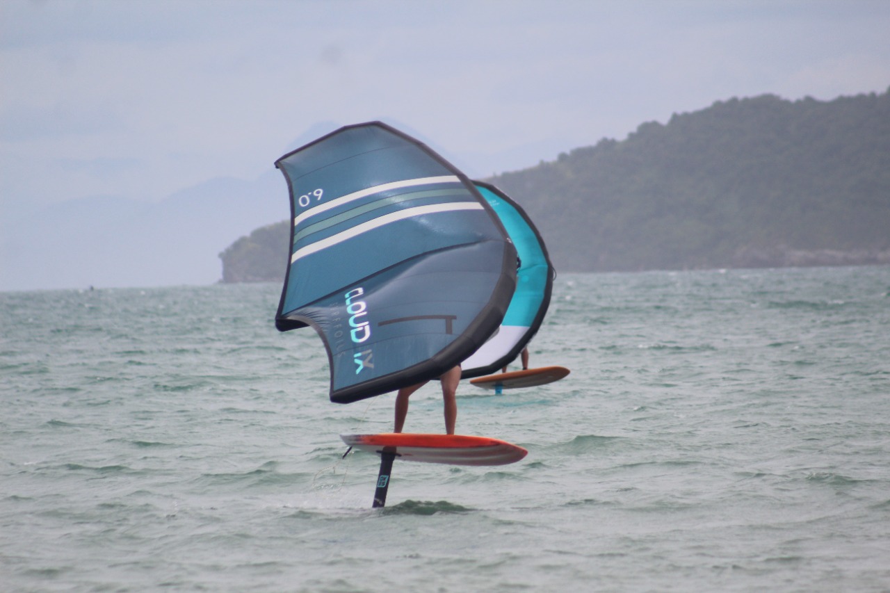 wing