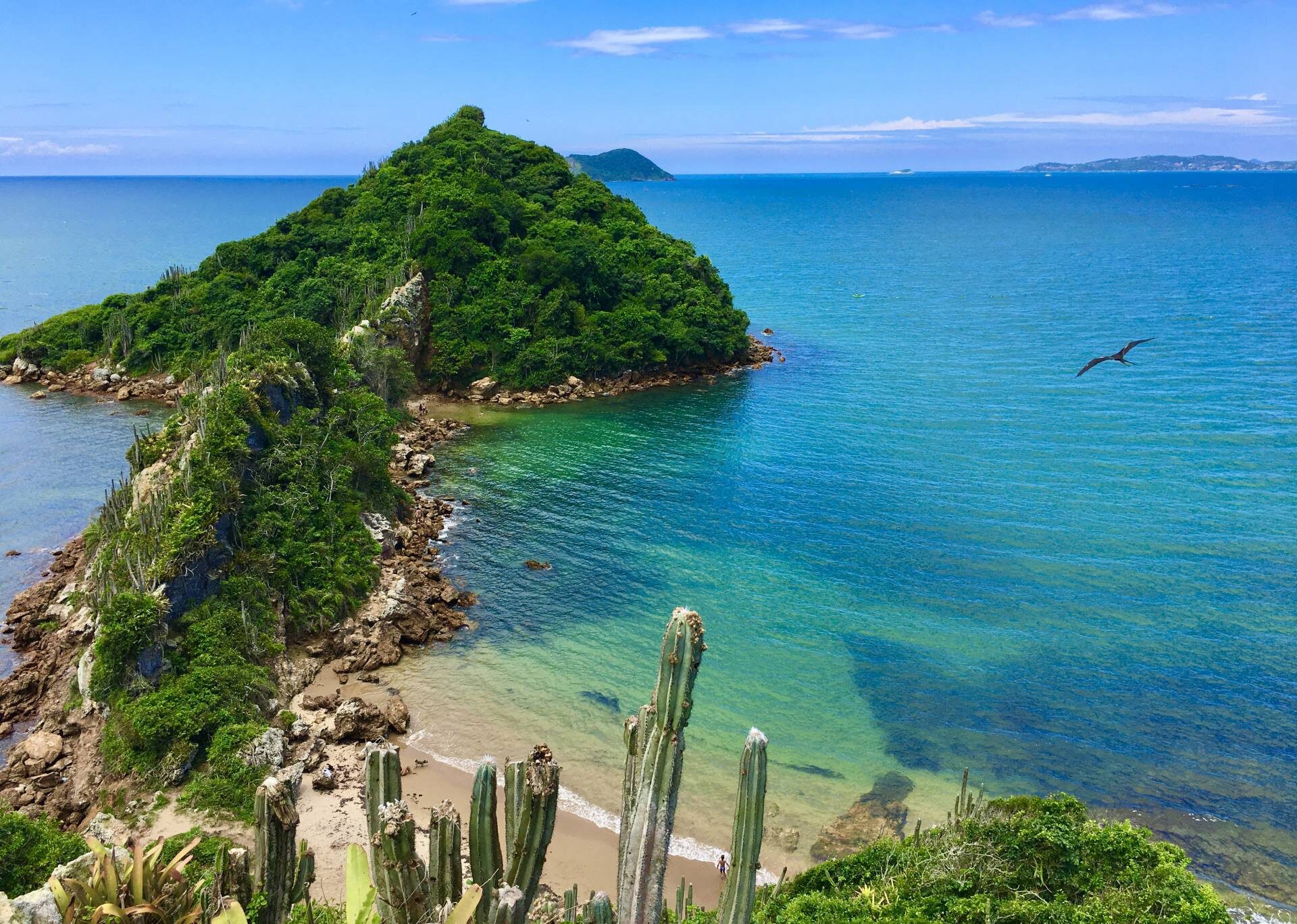ponta do pai vitorio
